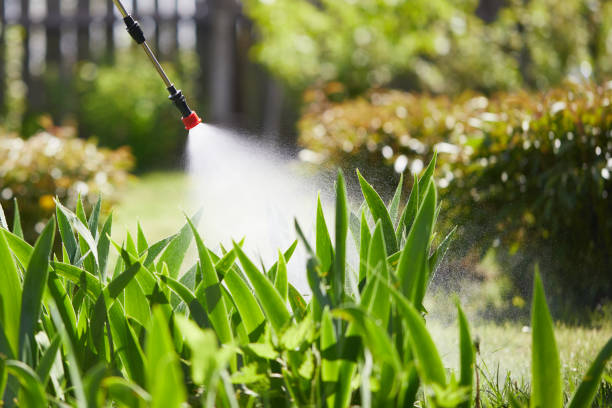 24/7 Emergency Wasp Removal experts in Clarksville, TX