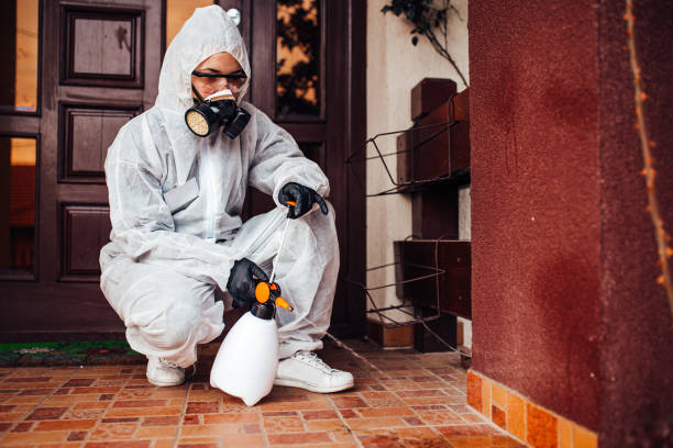 Reliable Wasp Removal contractor in Clarksville, TX by Show Me Pest Control